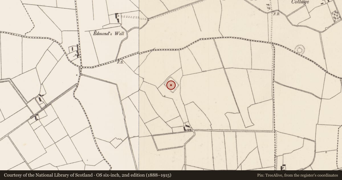 Ordnance Survey six-inch map, 2nd edition (1888–1915) covering the location of Moated site, Glenlary, County Limerick, with a pin at the register's coordinates