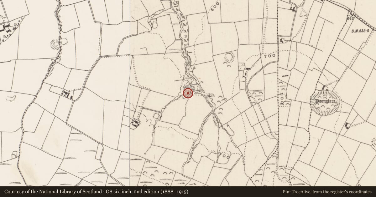 Ordnance Survey six-inch map, 2nd edition (1888–1915) covering the location of Castle - motte and bailey, Glenlary, County Limerick, with a pin at the register's coordinates