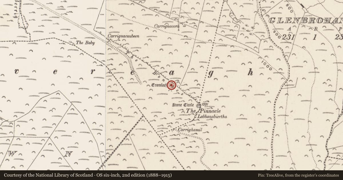 Ordnance Survey six-inch map, 2nd edition (1888–1915) covering the location of Megalithic structure, Glenlary, County Limerick, with a pin at the register's coordinates