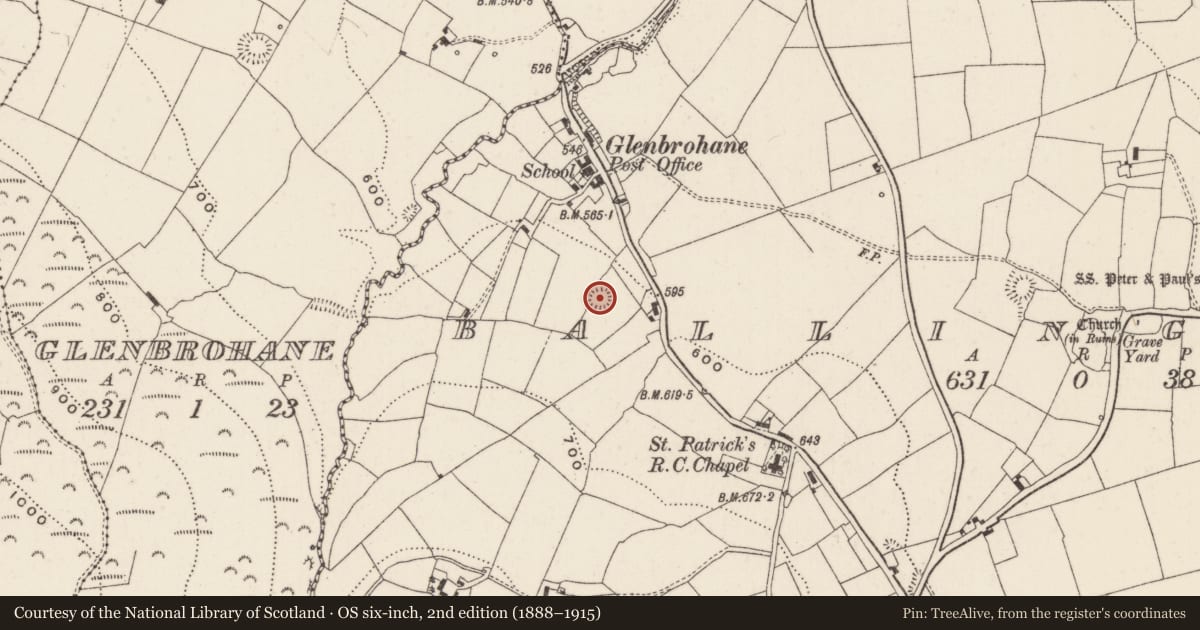 Ordnance Survey six-inch map, 2nd edition (1888–1915) covering the location of Earthwork, Ballingarry, County Limerick, with a pin at the register's coordinates