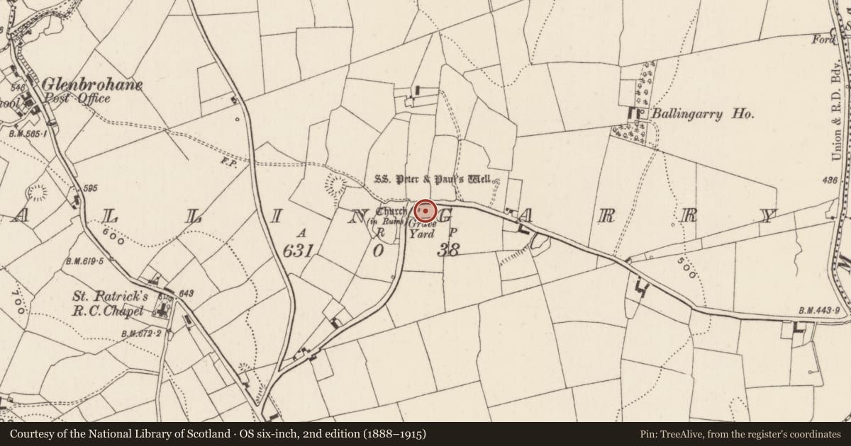 Ordnance Survey six-inch map, 2nd edition (1888–1915) covering the location of Graveyard, Ballingarry, County Limerick, with a pin at the register's coordinates