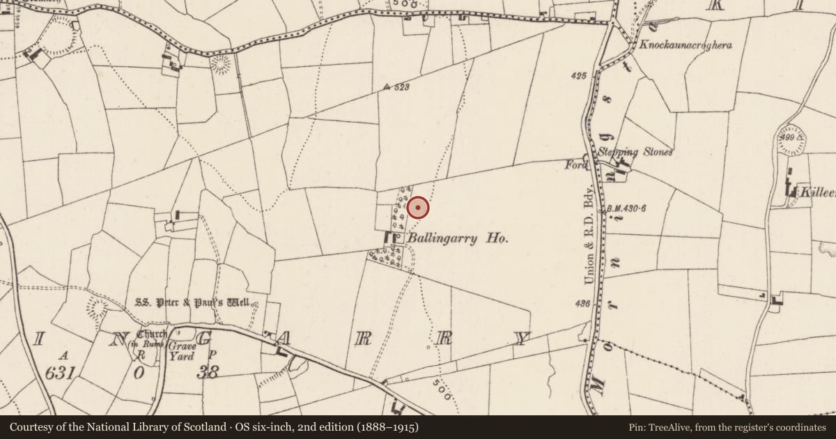 Ordnance Survey six-inch map, 2nd edition (1888–1915) covering the location of Ogham stone, Ballingarry, County Limerick, with a pin at the register's coordinates