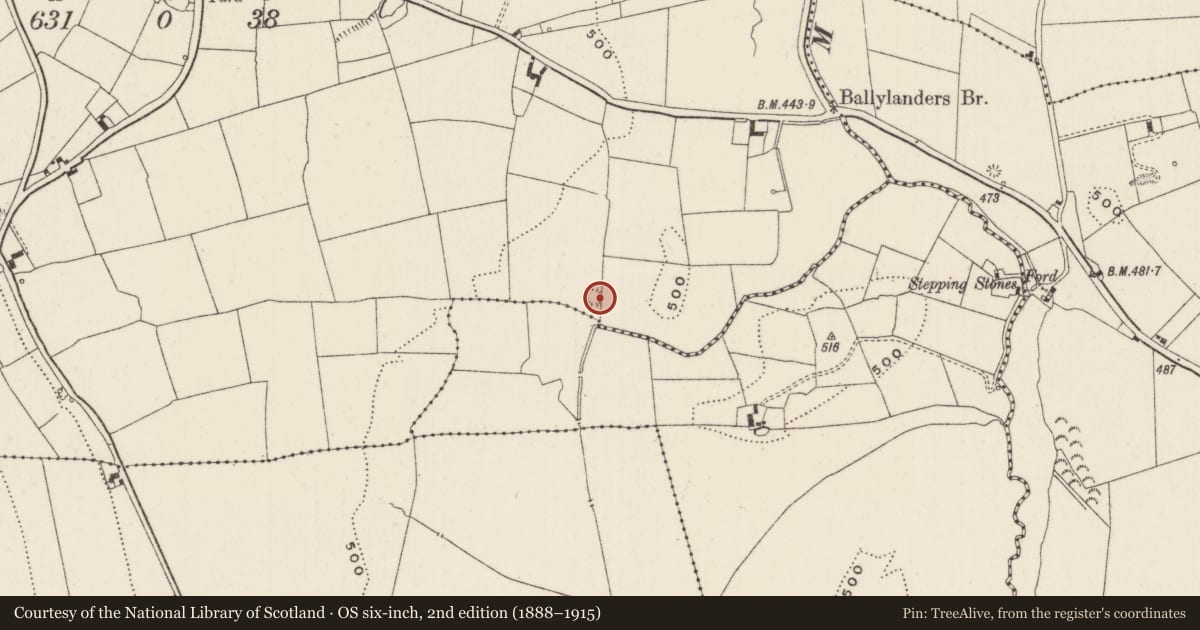 Ordnance Survey six-inch map, 2nd edition (1888–1915) covering the location of Earthwork, Ballingarry, County Limerick, with a pin at the register's coordinates