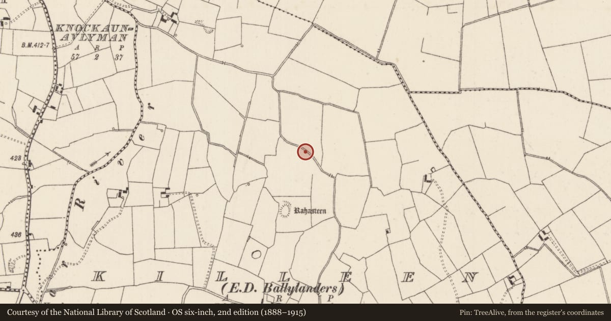 Ordnance Survey six-inch map, 2nd edition (1888–1915) covering the location of Earthwork, Killeen, County Limerick, with a pin at the register's coordinates