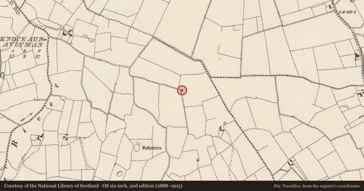 Ordnance Survey six-inch map, 2nd edition (1888–1915) covering the location of Field system, Killeen, County Limerick, with a pin at the register's coordinates
