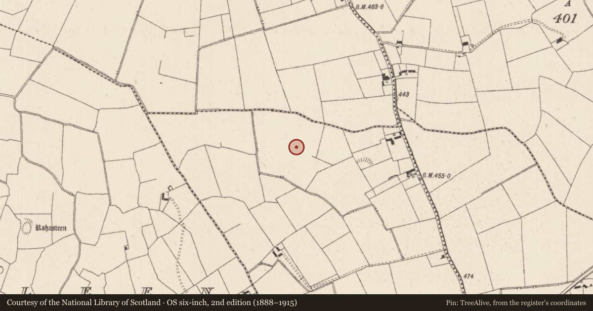 Ordnance Survey six-inch map, 2nd edition (1888–1915) covering the location of Pit, Spittle, County Limerick, with a pin at the register's coordinates