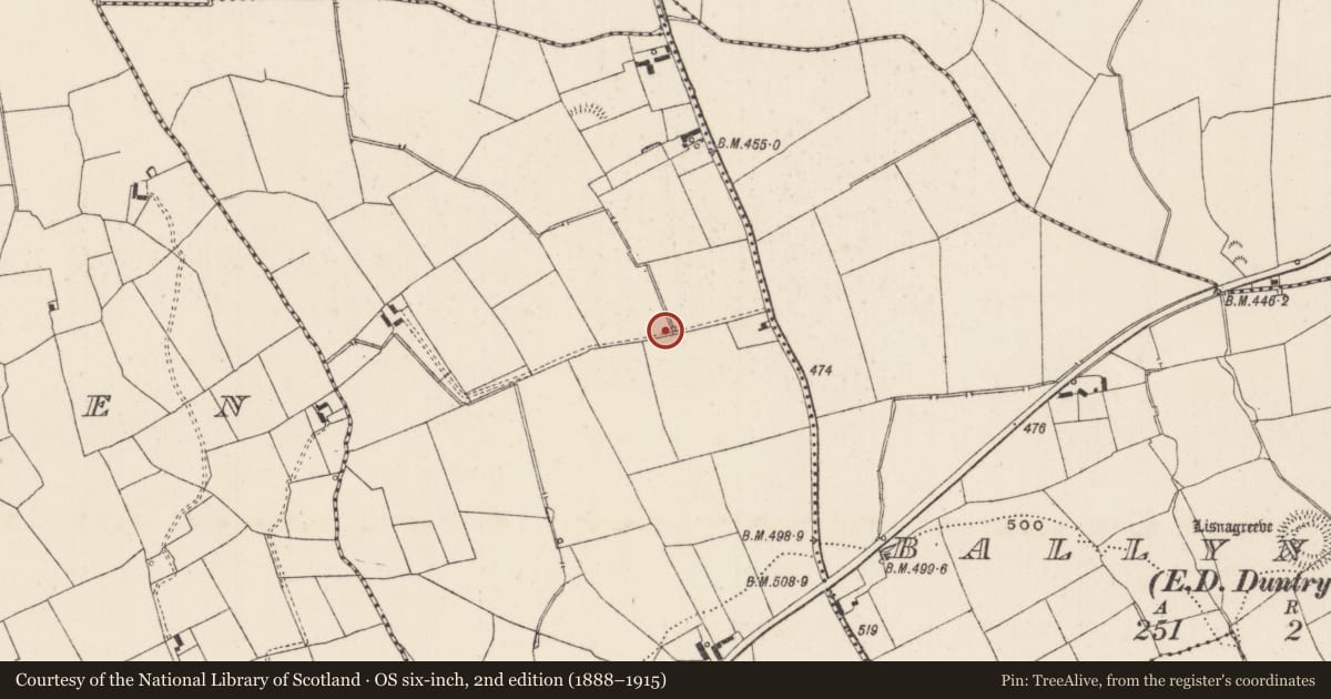 Ordnance Survey six-inch map, 2nd edition (1888–1915) covering the location of Pit, Spittle, County Limerick, with a pin at the register's coordinates