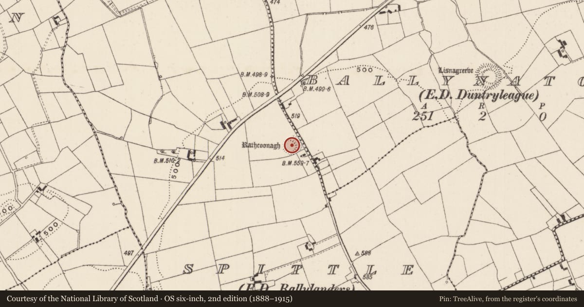 Ordnance Survey six-inch map, 2nd edition (1888–1915) covering the location of Ringfort - rath, Spittle, County Limerick, with a pin at the register's coordinates