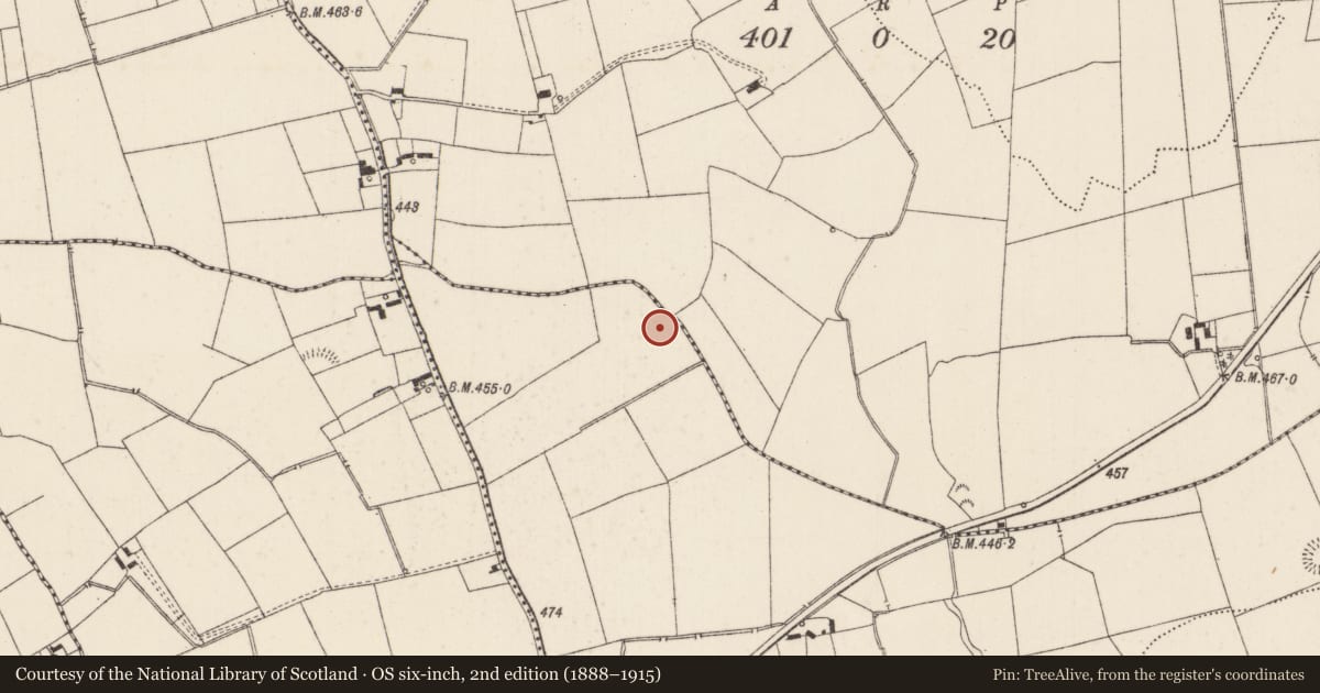Ordnance Survey six-inch map, 2nd edition (1888–1915) covering the location of Enclosure, Ballynatona, County Limerick, with a pin at the register's coordinates