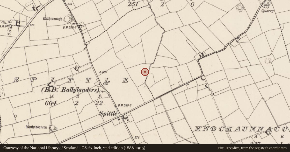 Ordnance Survey six-inch map, 2nd edition (1888–1915) covering the location of Earthwork, Spittle, County Limerick, with a pin at the register's coordinates