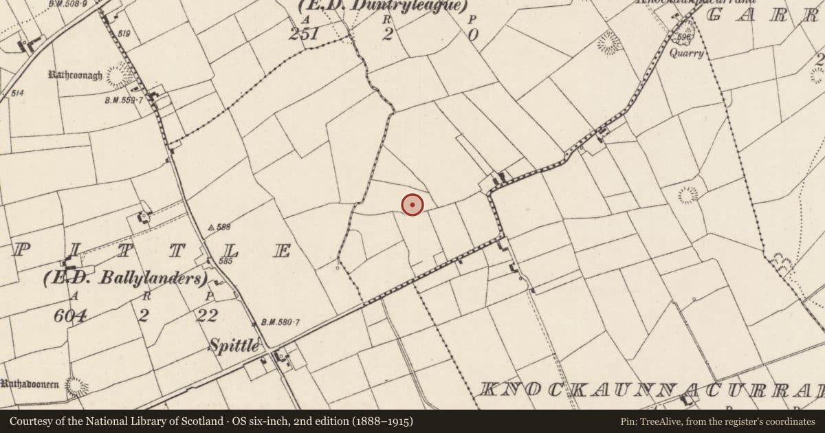 Ordnance Survey six-inch map, 2nd edition (1888–1915) covering the location of Earthwork, Ballynatona, County Limerick, with a pin at the register's coordinates