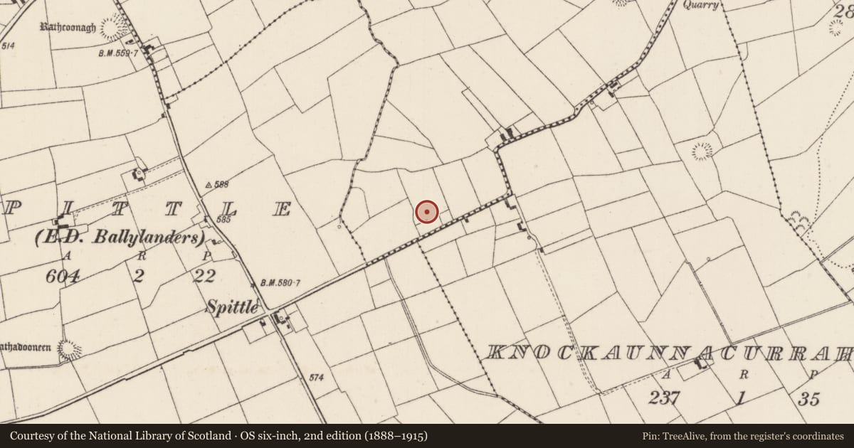 Ordnance Survey six-inch map, 2nd edition (1888–1915) covering the location of Earthwork, Ballynatona, County Limerick, with a pin at the register's coordinates