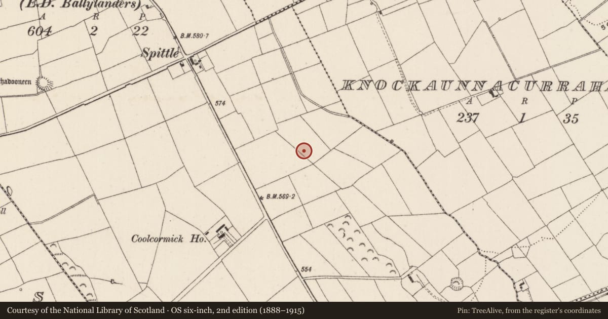 Ordnance Survey six-inch map, 2nd edition (1888–1915) covering the location of Excavation - miscellaneous, Spittle, County Limerick, with a pin at the register's coordinates