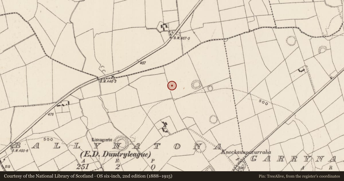 Ordnance Survey six-inch map, 2nd edition (1888–1915) covering the location of Earthwork, Ballynatona, County Limerick, with a pin at the register's coordinates