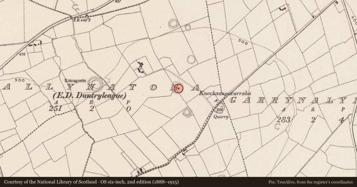 Ordnance Survey six-inch map, 2nd edition (1888–1915) covering the location of Earthwork, Ballynatona, County Limerick, with a pin at the register's coordinates