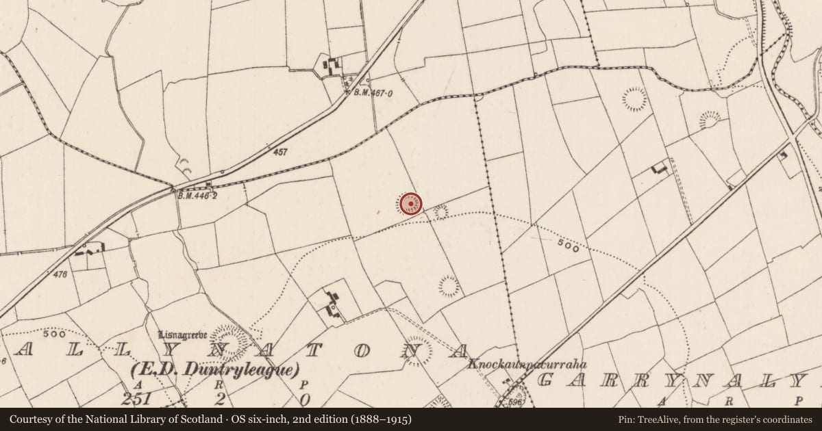 Ordnance Survey six-inch map, 2nd edition (1888–1915) covering the location of Enclosure, Ballynatona, County Limerick, with a pin at the register's coordinates