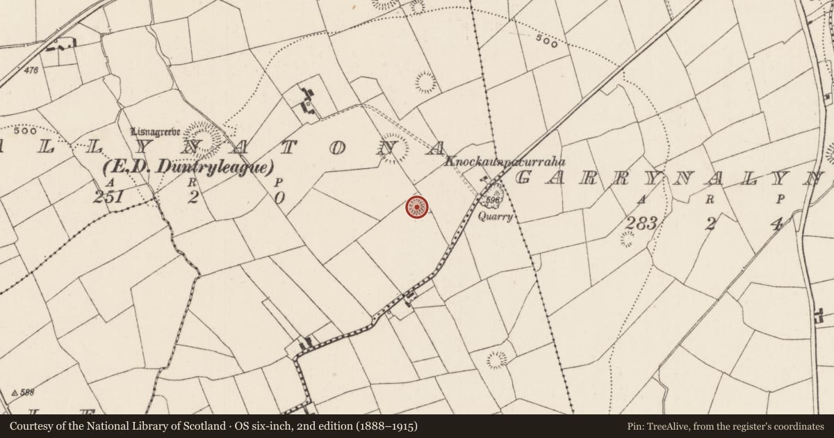 Ordnance Survey six-inch map, 2nd edition (1888–1915) covering the location of Enclosure, Ballynatona, County Limerick, with a pin at the register's coordinates