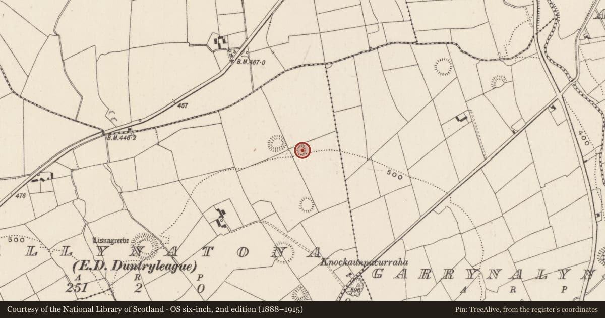 Ordnance Survey six-inch map, 2nd edition (1888–1915) covering the location of Earthwork, Ballynatona, County Limerick, with a pin at the register's coordinates