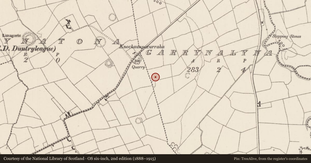 Ordnance Survey six-inch map, 2nd edition (1888–1915) covering the location of Barrow - ditch barrow, Garrynalyna, County Limerick, with a pin at the register's coordinates