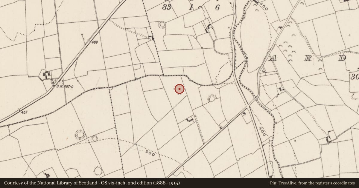 Ordnance Survey six-inch map, 2nd edition (1888–1915) covering the location of Earthwork, Garrynalyna, County Limerick, with a pin at the register's coordinates