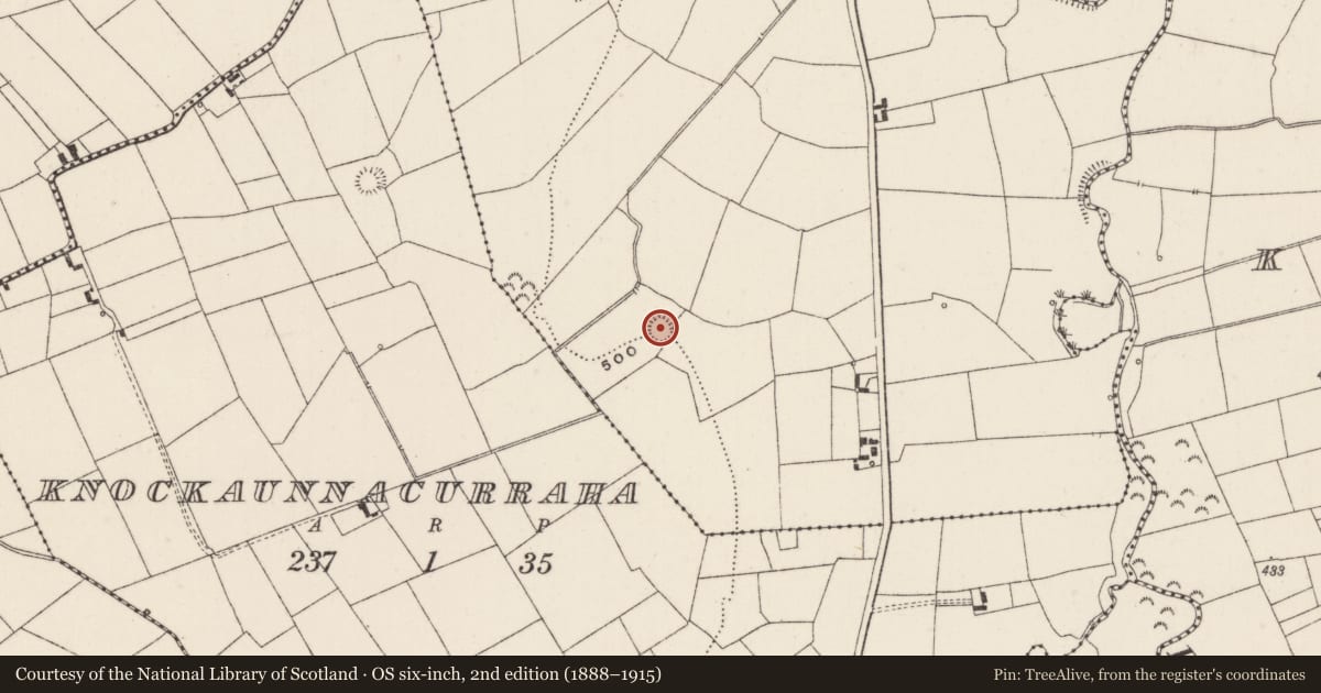 Ordnance Survey six-inch map, 2nd edition (1888–1915) covering the location of Barrow - unclassified, Garrynalyna, County Limerick, with a pin at the register's coordinates