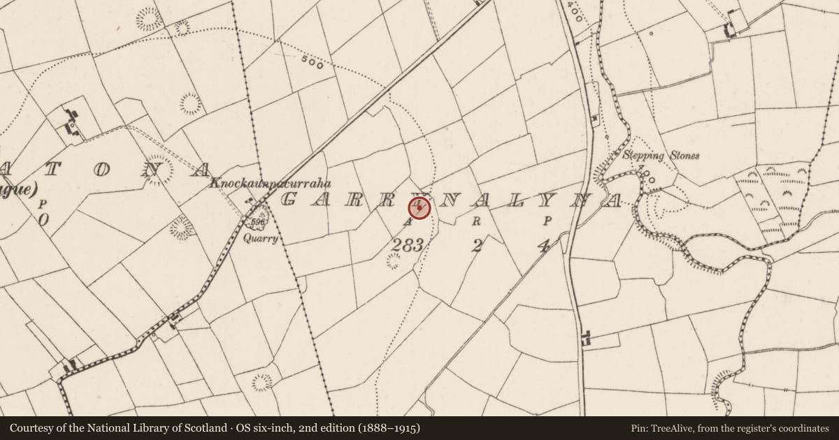 Ordnance Survey six-inch map, 2nd edition (1888–1915) covering the location of Earthwork, Garrynalyna, County Limerick, with a pin at the register's coordinates