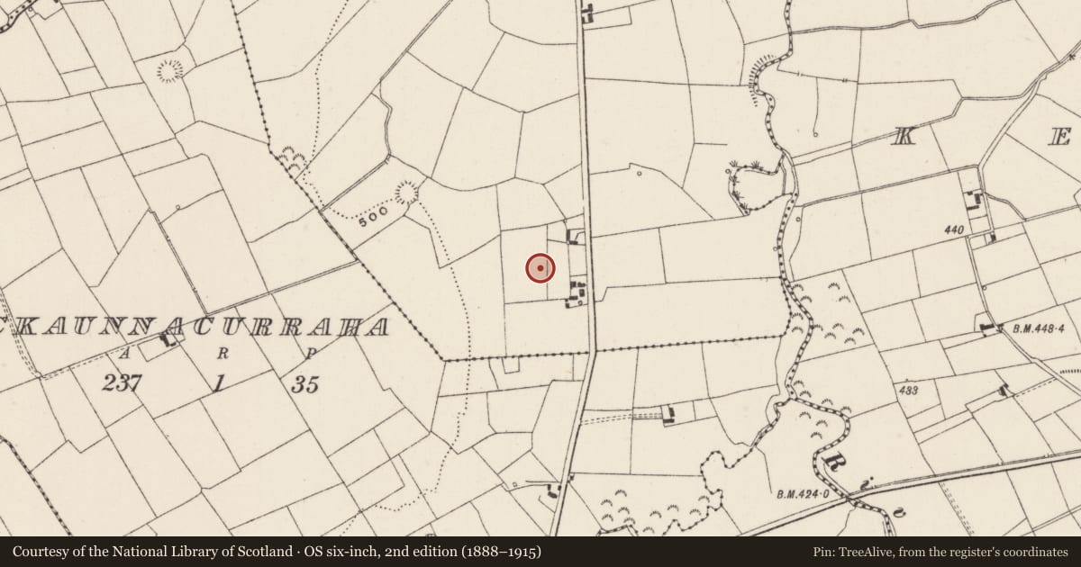 Ordnance Survey six-inch map, 2nd edition (1888–1915) covering the location of Enclosure, Garrynalyna, County Limerick, with a pin at the register's coordinates