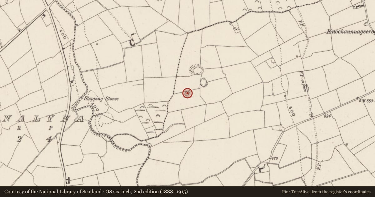 Ordnance Survey six-inch map, 2nd edition (1888–1915) covering the location of Mound, Keeloges, County Limerick, with a pin at the register's coordinates