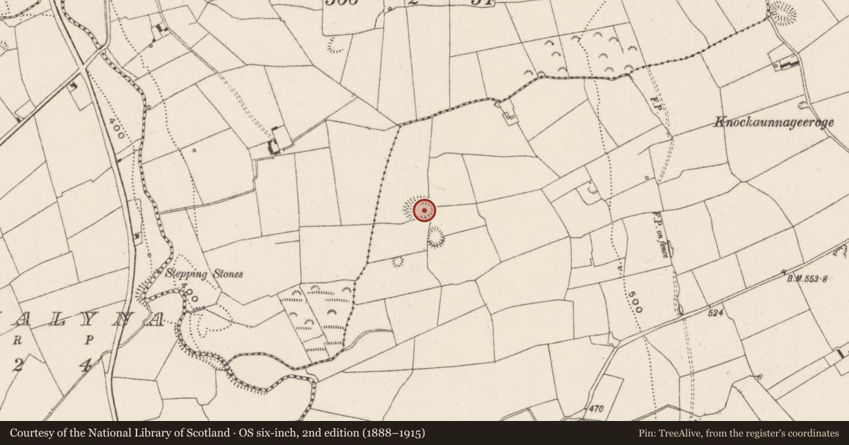 Ordnance Survey six-inch map, 2nd edition (1888–1915) covering the location of Ringfort - rath, Keeloges, County Limerick, with a pin at the register's coordinates