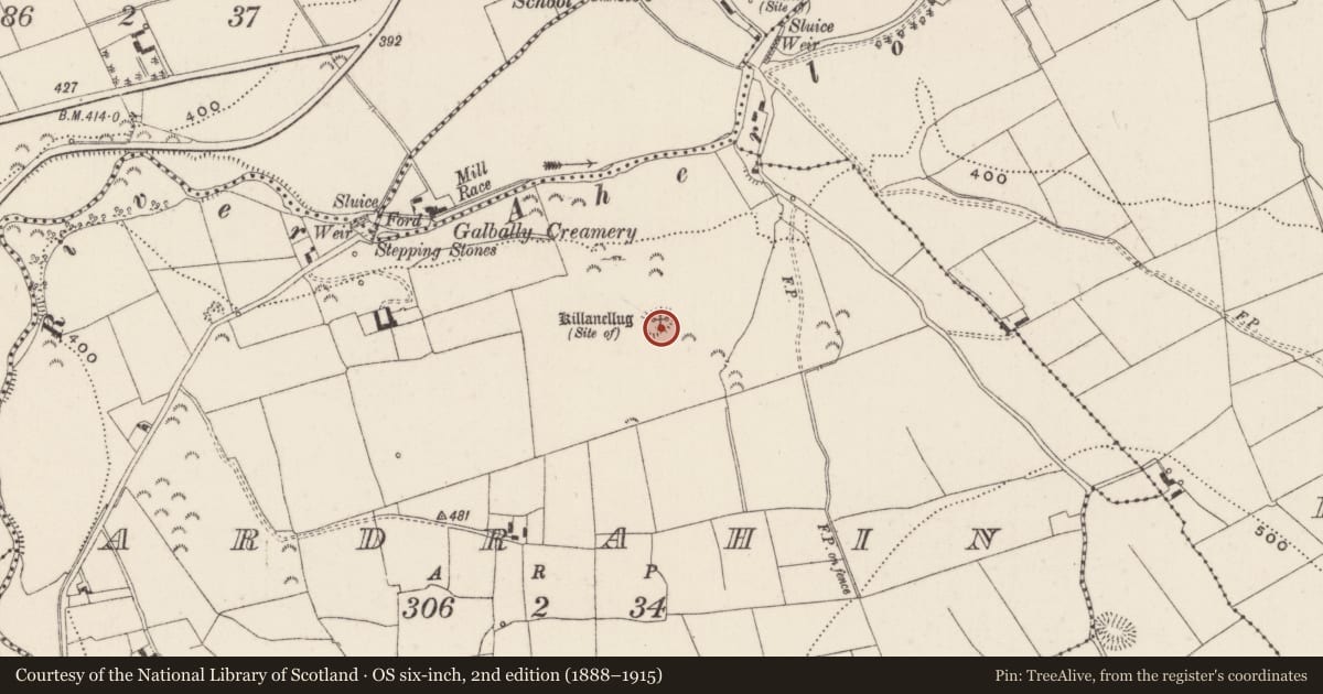 Ordnance Survey six-inch map, 2nd edition (1888–1915) covering the location of Earthwork, Ardrahin, County Limerick, with a pin at the register's coordinates