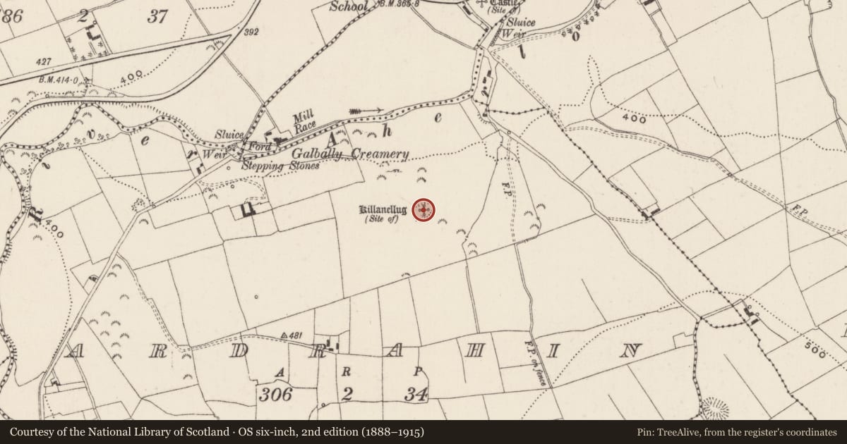 Ordnance Survey six-inch map, 2nd edition (1888–1915) covering the location of Church, Ardrahin, County Limerick, with a pin at the register's coordinates