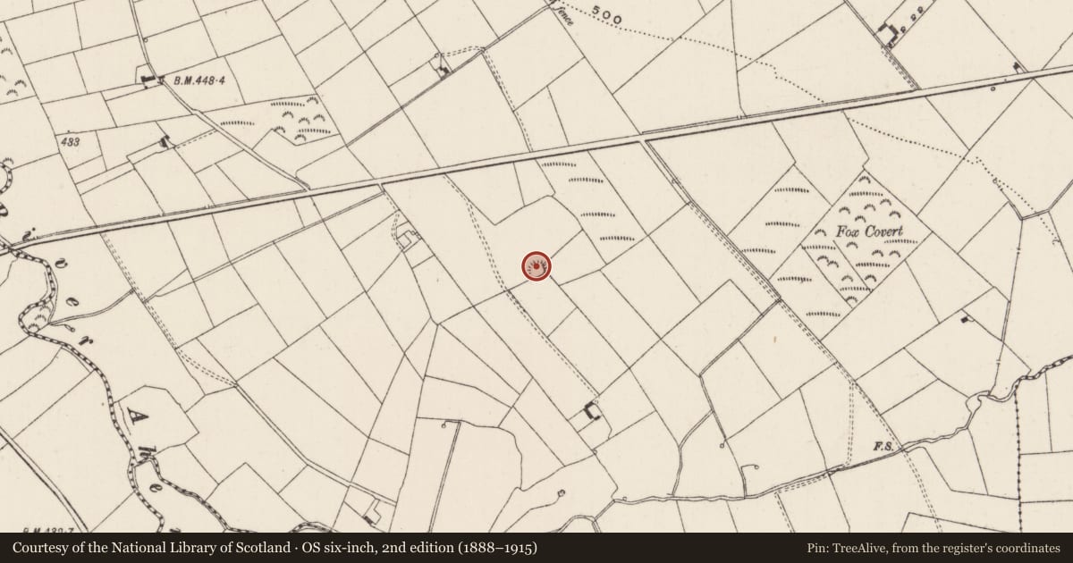 Ordnance Survey six-inch map, 2nd edition (1888–1915) covering the location of Earthwork, Keeloges, County Limerick, with a pin at the register's coordinates