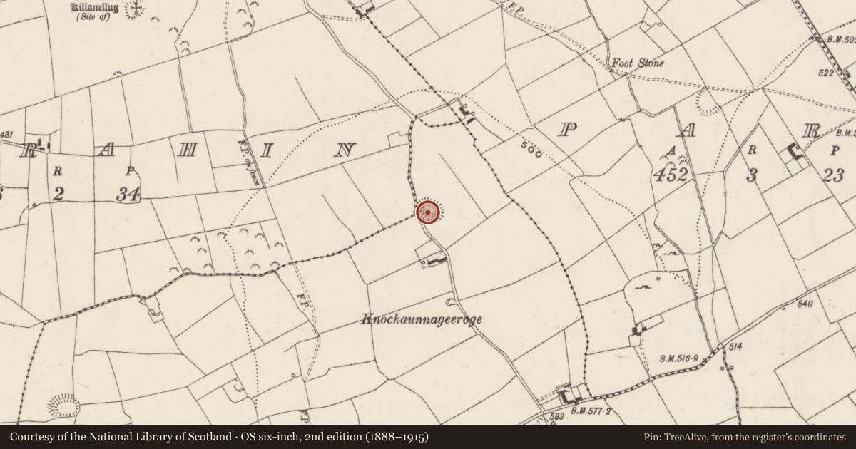 Ordnance Survey six-inch map, 2nd edition (1888–1915) covering the location of Ringfort - rath, Keeloges, County Limerick, with a pin at the register's coordinates