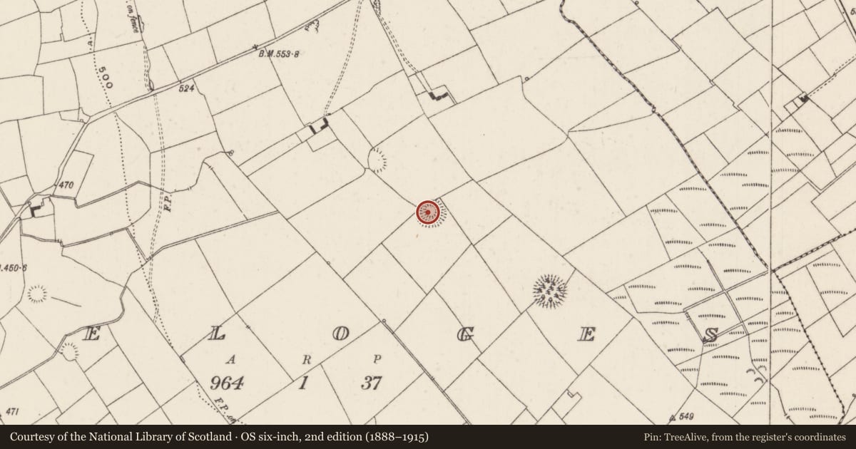 Ordnance Survey six-inch map, 2nd edition (1888–1915) covering the location of Ringfort - rath, Keeloges, County Limerick, with a pin at the register's coordinates