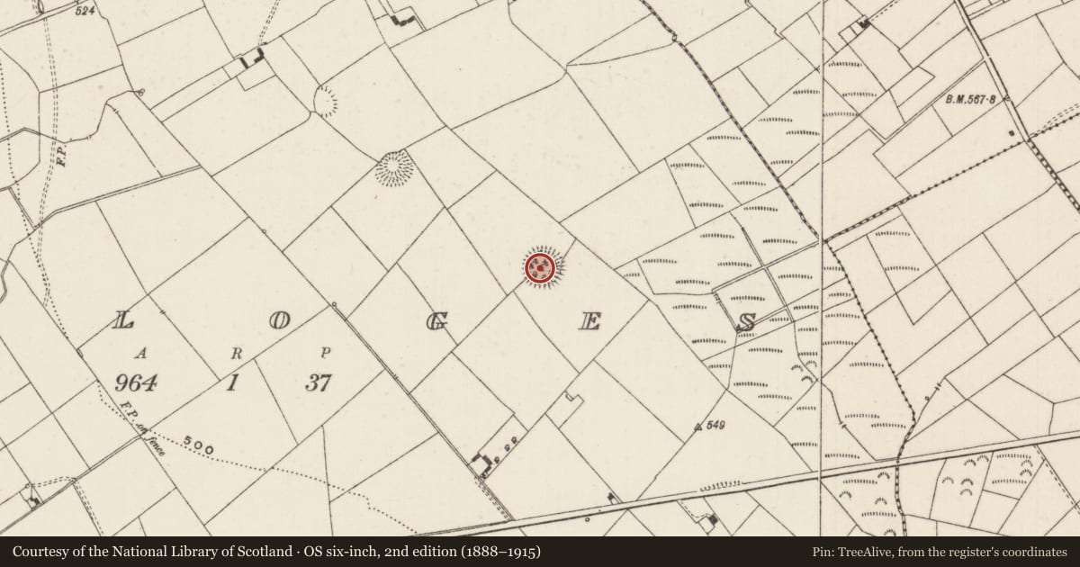 Ordnance Survey six-inch map, 2nd edition (1888–1915) covering the location of Enclosure, Keeloges, County Limerick, with a pin at the register's coordinates