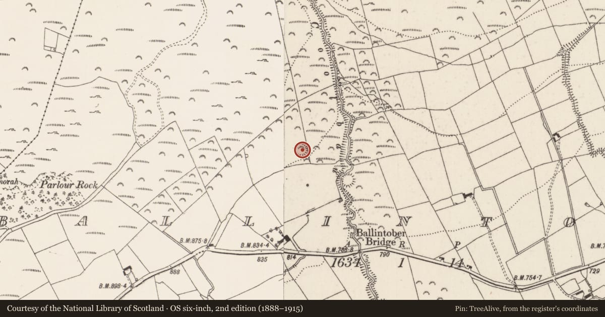 Ordnance Survey six-inch map, 2nd edition (1888–1915) covering the location of Earthwork, Ballintober, County Limerick, with a pin at the register's coordinates