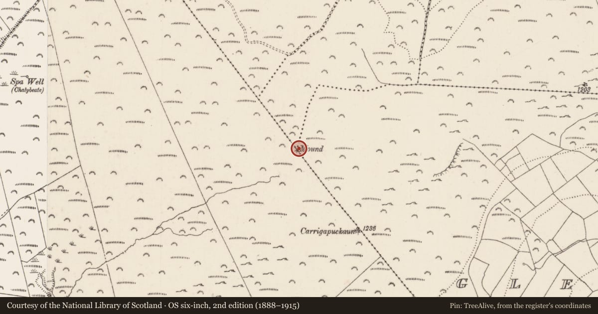 Ordnance Survey six-inch map, 2nd edition (1888–1915) covering the location of Mound, County Limerick, with a pin at the register's coordinates