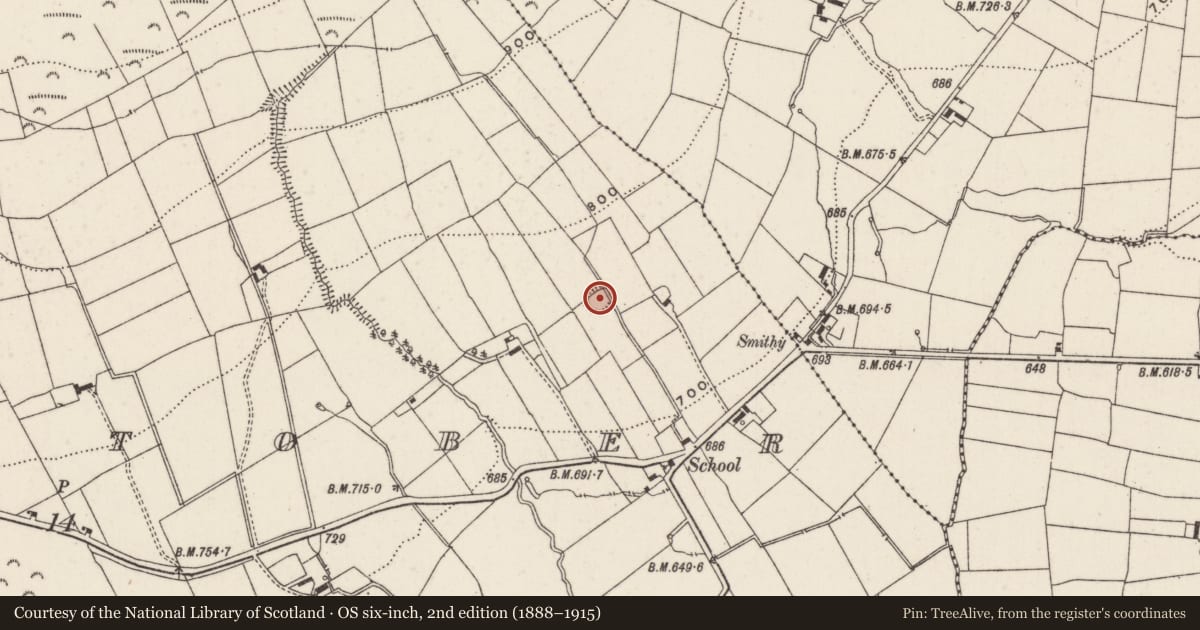Ordnance Survey six-inch map, 2nd edition (1888–1915) covering the location of Earthwork, Ballintober, County Limerick, with a pin at the register's coordinates