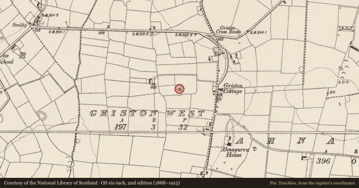 Ordnance Survey six-inch map, 2nd edition (1888–1915) covering the location of Enclosure, Griston West, County Limerick, with a pin at the register's coordinates