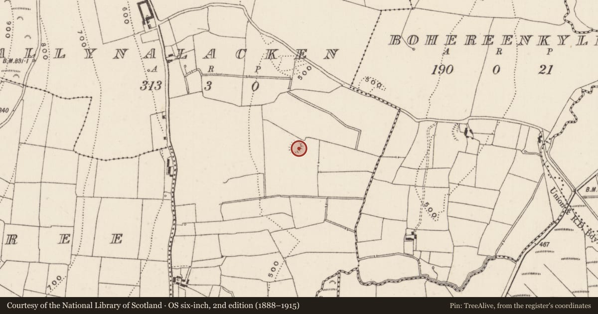 Ordnance Survey six-inch map, 2nd edition (1888–1915) covering the location of Enclosure, Ballynalacken, County Limerick, with a pin at the register's coordinates