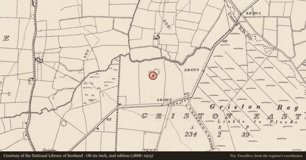 Ordnance Survey six-inch map, 2nd edition (1888–1915) covering the location of Ringfort - rath, Griston East, County Limerick, with a pin at the register's coordinates