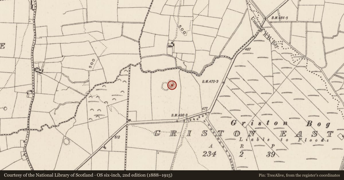 Ordnance Survey six-inch map, 2nd edition (1888–1915) covering the location of Enclosure, Griston East, County Limerick, with a pin at the register's coordinates