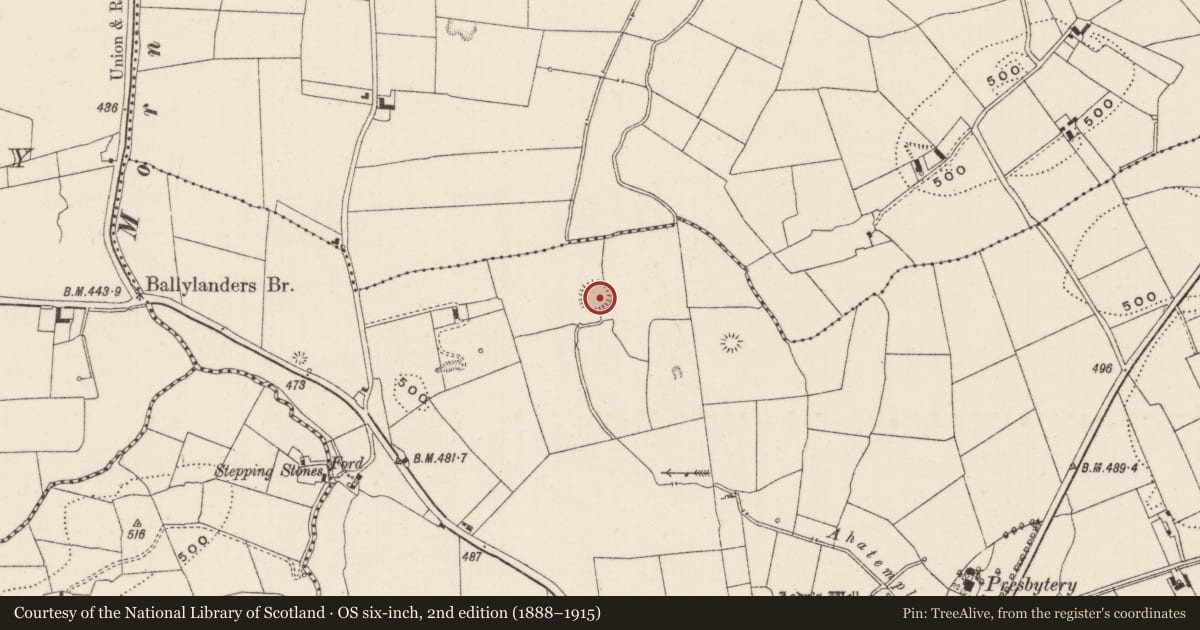 Ordnance Survey six-inch map, 2nd edition (1888–1915) covering the location of Ringfort - rath, Ballylanders, County Limerick, with a pin at the register's coordinates