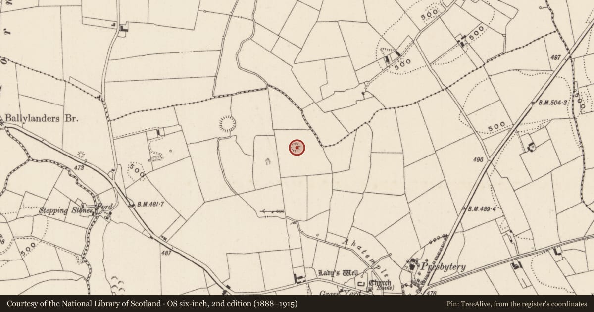 Ordnance Survey six-inch map, 2nd edition (1888–1915) covering the location of Enclosure, Ballylanders, County Limerick, with a pin at the register's coordinates