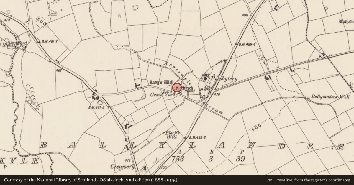 Ordnance Survey six-inch map, 2nd edition (1888–1915) covering the location of Graveyard, Ballylanders, County Limerick, with a pin at the register's coordinates