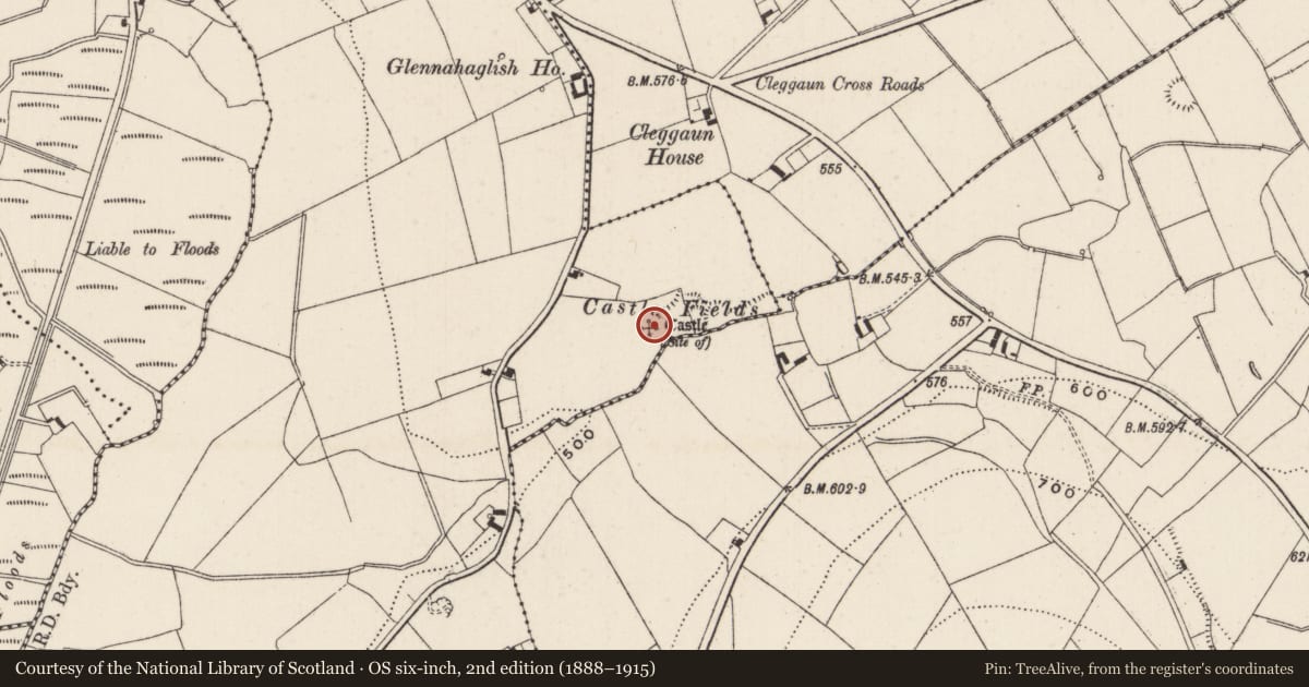 Ordnance Survey six-inch map, 2nd edition (1888–1915) covering the location of Castle - unclassified, Glennahaglish, County Limerick, with a pin at the register's coordinates