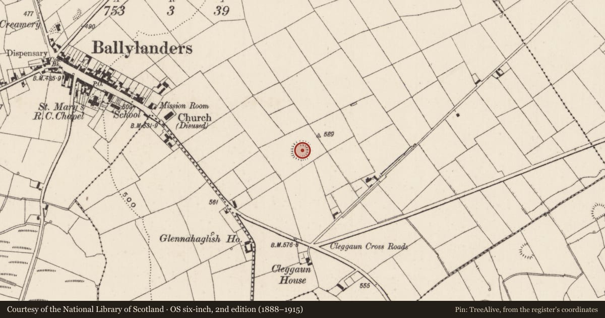 Ordnance Survey six-inch map, 2nd edition (1888–1915) covering the location of Ringfort - rath, Ballylanders, County Limerick, with a pin at the register's coordinates