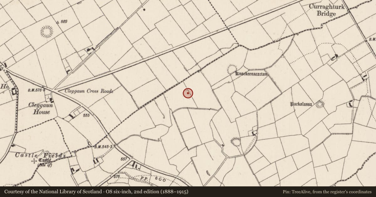 Ordnance Survey six-inch map, 2nd edition (1888–1915) covering the location of Earthwork, Curraghturk, County Limerick, with a pin at the register's coordinates