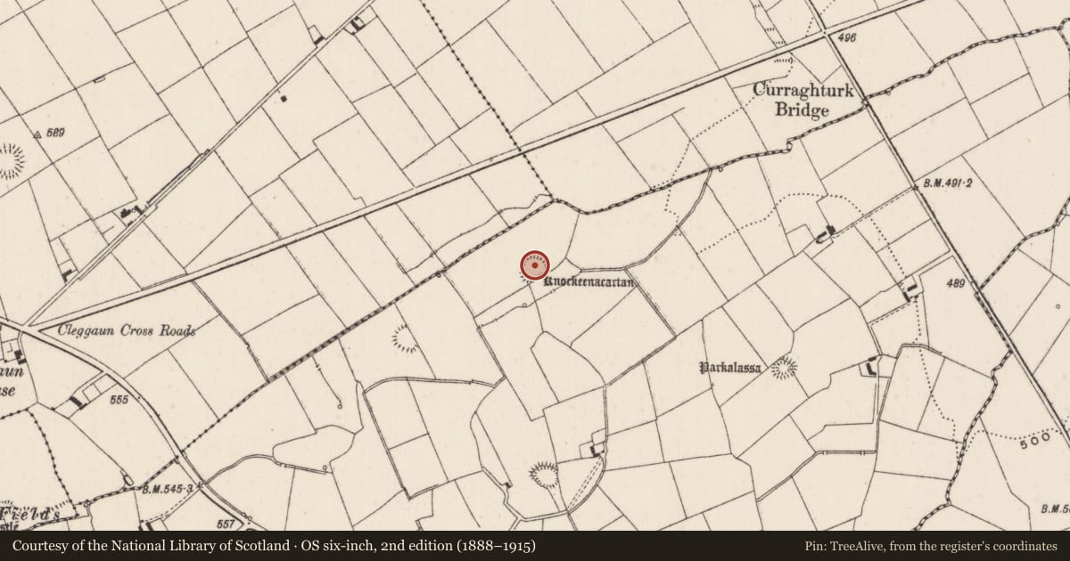 Ordnance Survey six-inch map, 2nd edition (1888–1915) covering the location of Enclosure, Curraghturk, County Limerick, with a pin at the register's coordinates