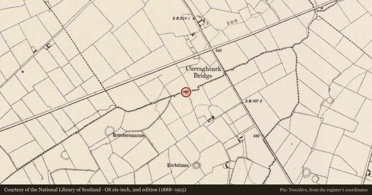 Ordnance Survey six-inch map, 2nd edition (1888–1915) covering the location of Earthwork, Curraghturk, County Limerick, with a pin at the register's coordinates